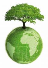 Dia mundial do ambiente Dia mundial do ambiente